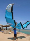 2008 naish alliance kiteboarding kite harakiri